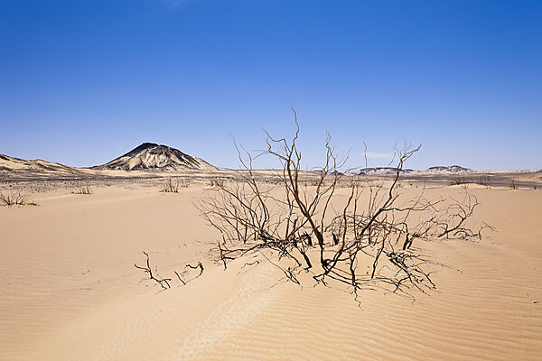 Desert near Bahariya Oasis