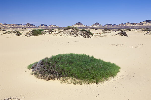 Desert near Bahariya Oasis