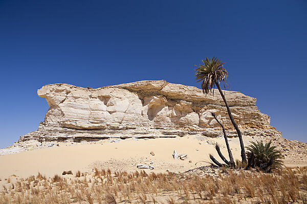Oasis al-Wadi near White Desert National Park