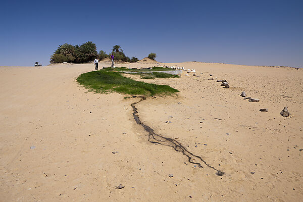 Oasis Ain Khadra near White Desert National Park