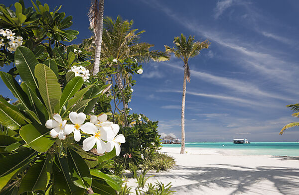 Strand der Malediveninsel Kandooma