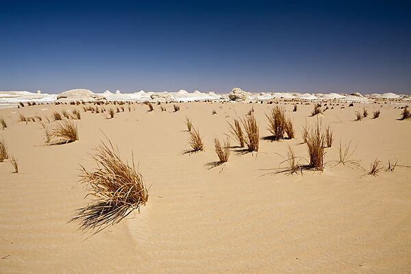 Landschaft in Nationalpark Weisse Wueste