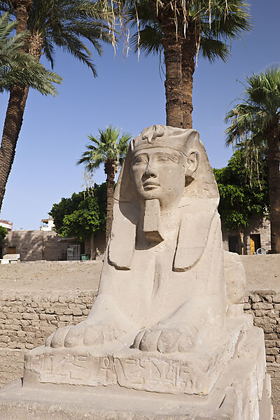 Sphinxes at Luxor Temple
