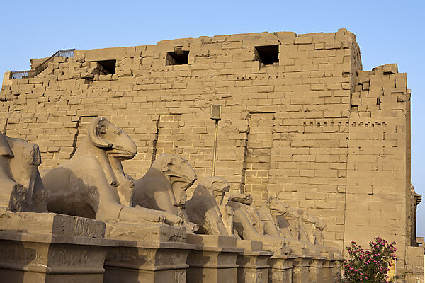Widderallee vor Karnak Tempel