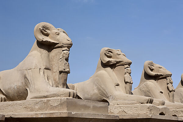 Widderallee vor Karnak Tempel