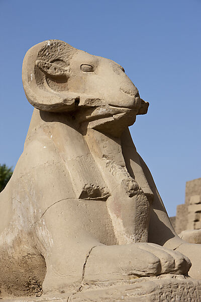 Widderallee vor Karnak Tempel