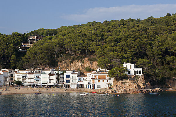 View on Tamariu