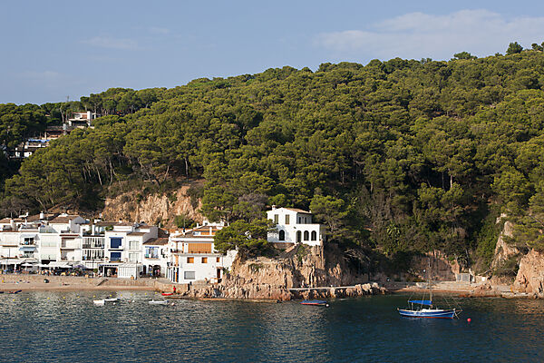 View on Tamariu