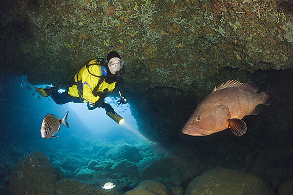 Scuba Diver and Dusky Grouper in Cave