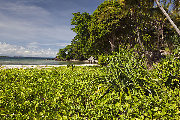 Insel bei Sorong