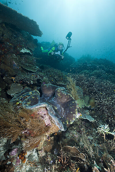Photographer over Great Clam
