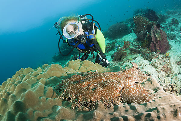 Scuba Diver and Tasselled Wobbegong