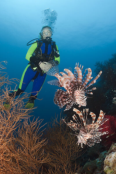 Lionfish and Scuba Diver