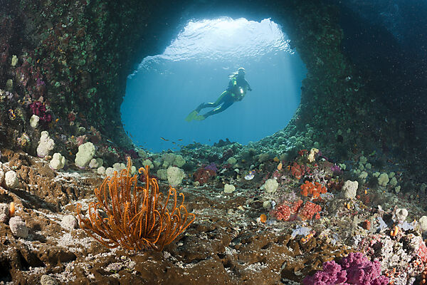 Scuba Diver in Grotto