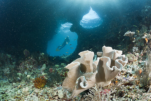 Scuba Diver in Grotto