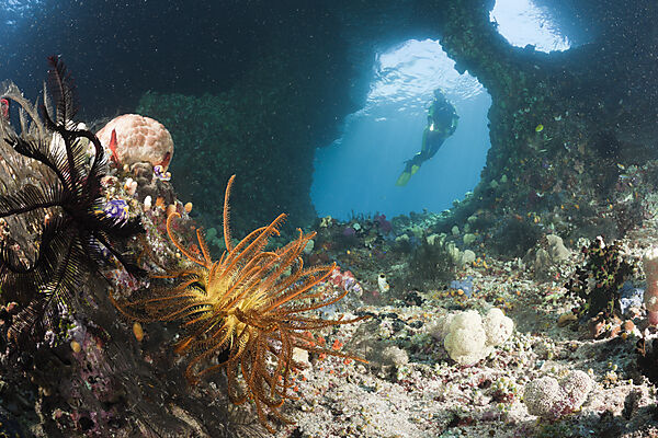 Scuba Diver in Grotto