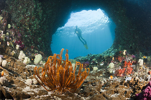 Scuba Diver in Grotto