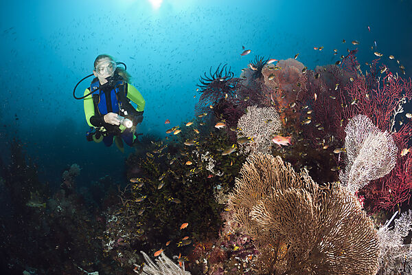 Scuba Diver over Coral Reef