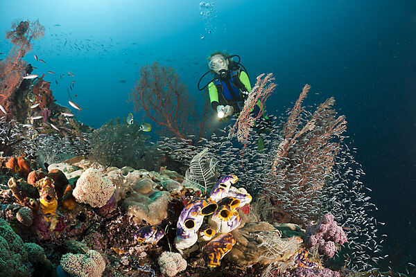 Scuba Diver over Coral Reef