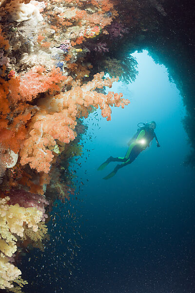 Coloful Corals in Grotto