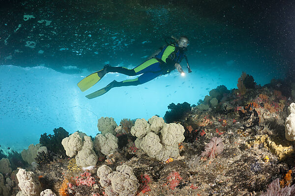 Soft Coral and Scuba Diver