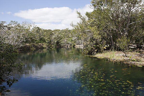 Blick auf Car Wash Cenote Aktun Ha