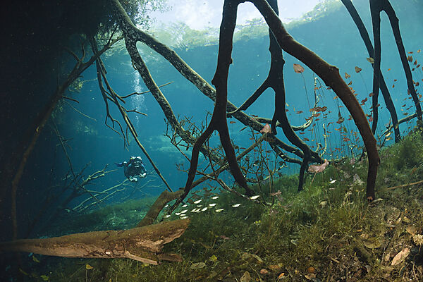 Taucher in Car Wash Cenote Aktun Ha