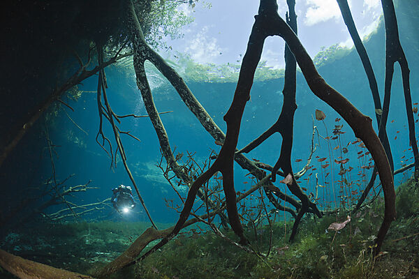 Taucher in Car Wash Cenote Aktun Ha