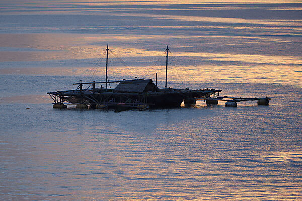 Impressionen der Lembeh Strait