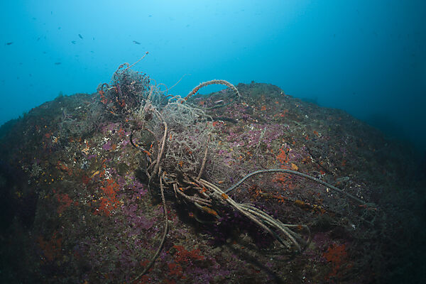 Verlorenes Fischernetz im Riff