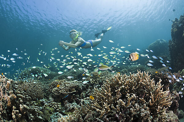 Schnorcheln in Bali