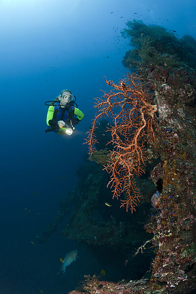 Scuba Diver at Liberty Wreck