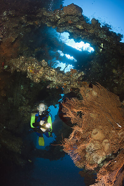 Scuba Diver at Liberty Wreck