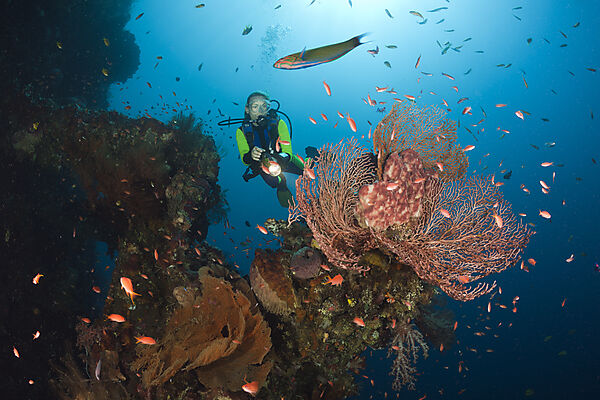 Scuba Diver at Liberty Wreck