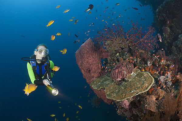 Scuba Diver at Liberty Wreck