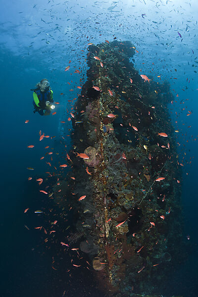 Scuba Diver at Liberty Wreck