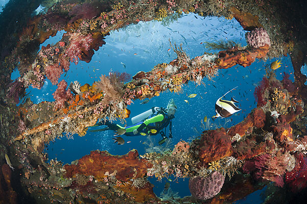 Scuba Diver at Liberty Wreck