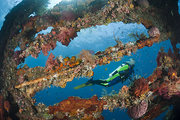 Scuba Diver at Liberty Wreck
