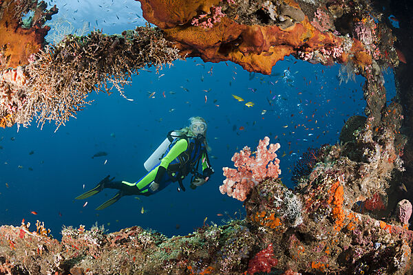 Scuba Diver at Liberty Wreck