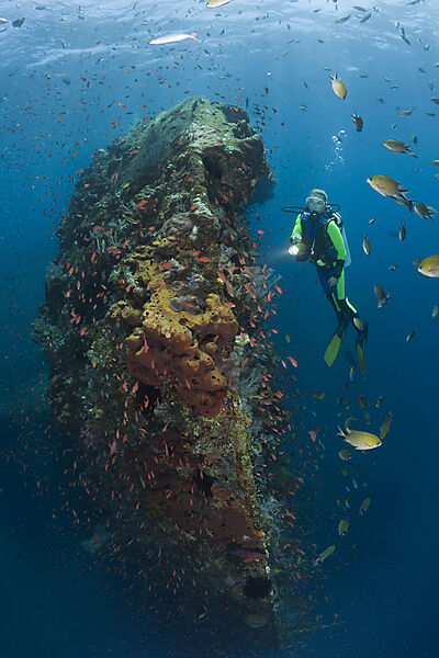 Scuba Diver at Liberty Wreck