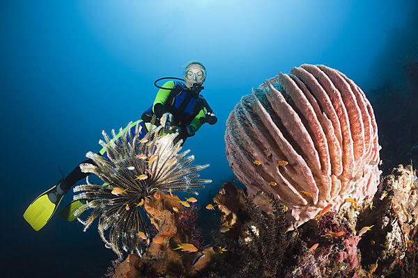 Scuba Diving at Bali
