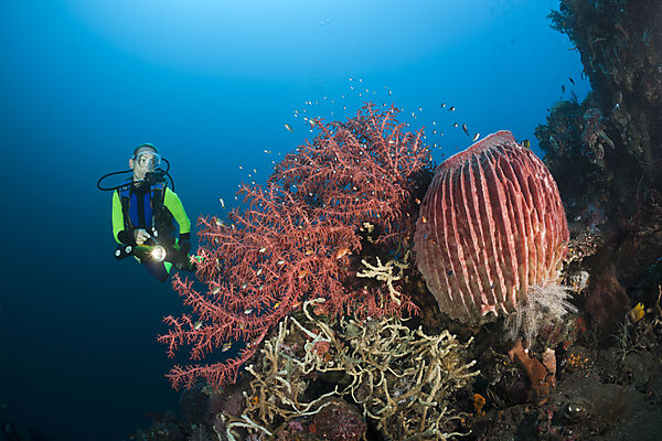 Scuba Diving at Bali
