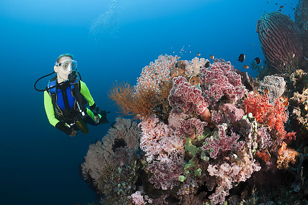 Scuba Diving at Bali