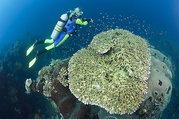 Scuba Diving at Bali