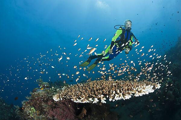 Scuba Diving at Bali