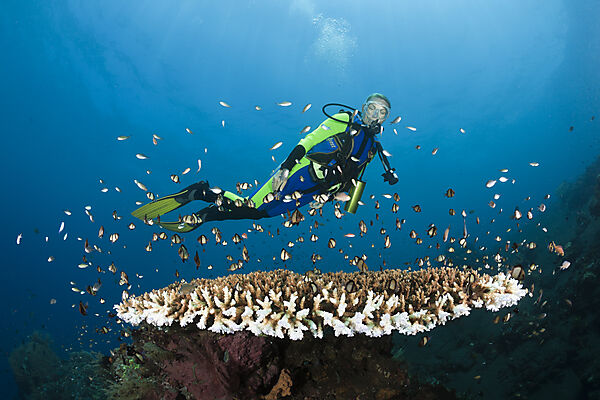 Scuba Diving at Bali