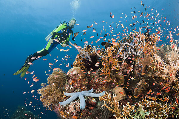 Scuba Diving at Bali