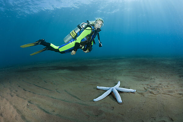 Scuba Diver and blue Sea Star