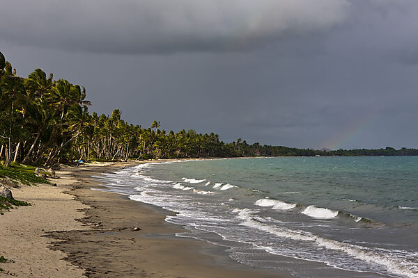 Beach of Pacific Harbour