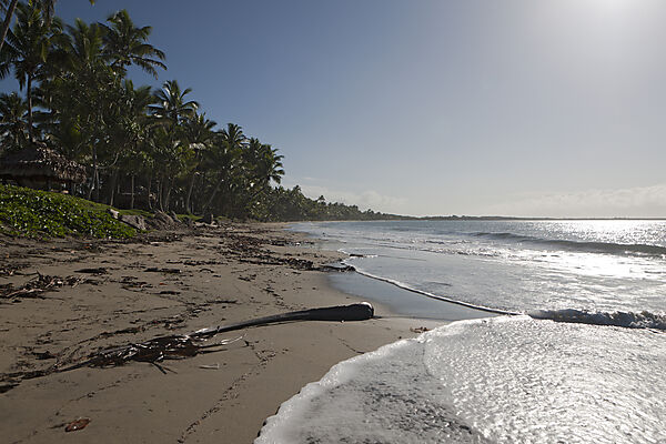 Beach of Pacific Harbour